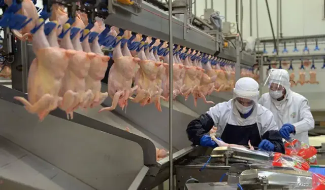 Bakanlıktan ramazan öncesi tavuk kararı