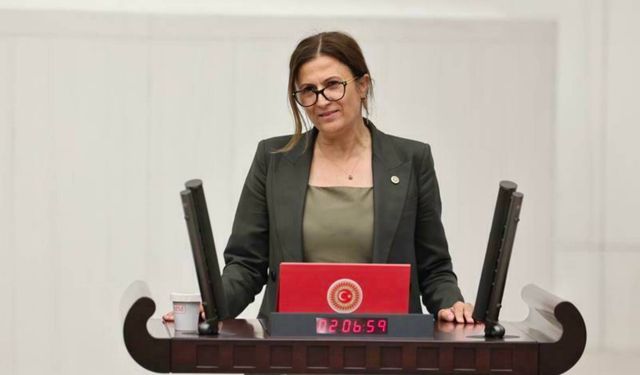 Türkan Elçi, Komisyon Raporu'nu reddetti: Onay veremem