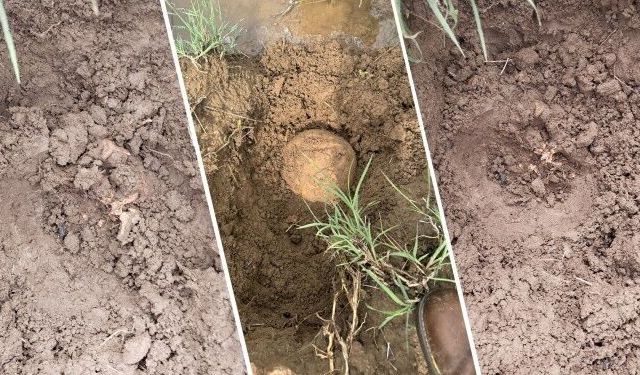 Licê’de bulunan kemikler: Biri çocuk iki kişiye ait