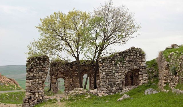 Feqiyê Teyran mirası yok mu ediliypr?