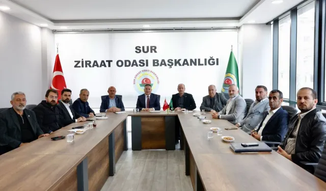 Diyarbakır Tarım Zirvesi: Artan Elektrik Borçları Çiftçiyi Bitirdi