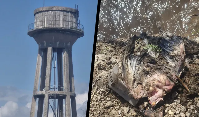 Diyarbakır'da Su Skandalı: Musluklardan Güvercin Tüyü Akıyor