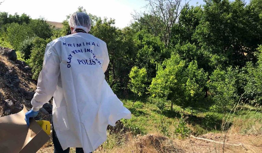 Elazığ’da kimliği belirsiz erkek cesedi ağaçta bulundu
