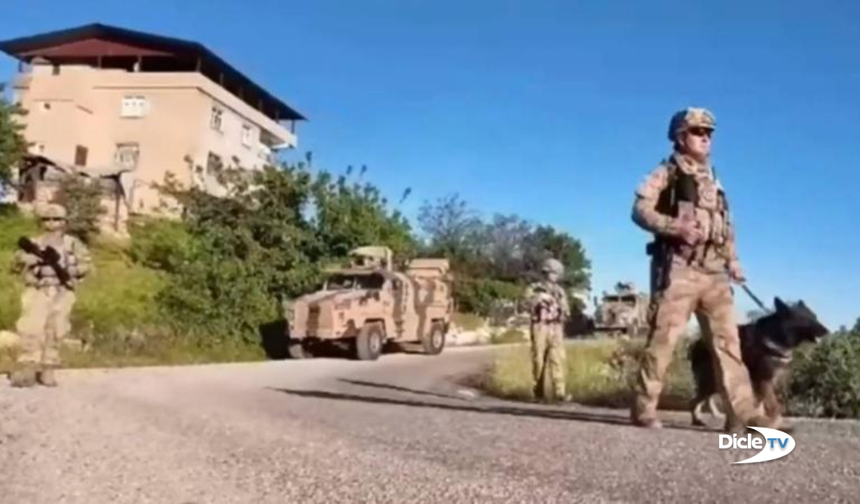 Diyarbakır’da 4,4 milyon kök kenevir ve skunk ele geçirildi