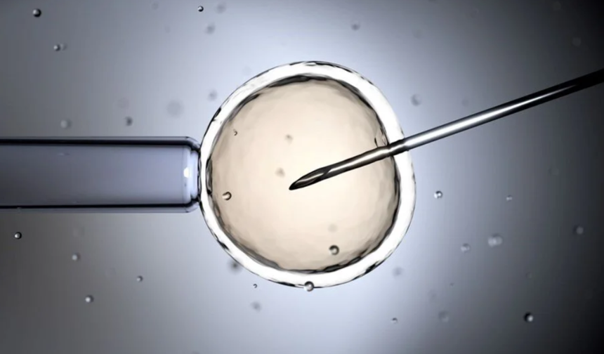 Üç ebeveynli tüp bebek yöntemiyle ilk sağlıklı doğumlar gerçekleşti