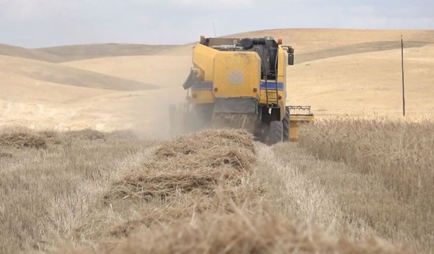 Topraklarına Dönen Kürt Çiftçiler Yeniden Tutuklandı