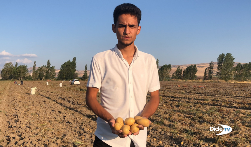 Çiftçi, satamadığı 8 ton patatesi ücretsiz dağıttı