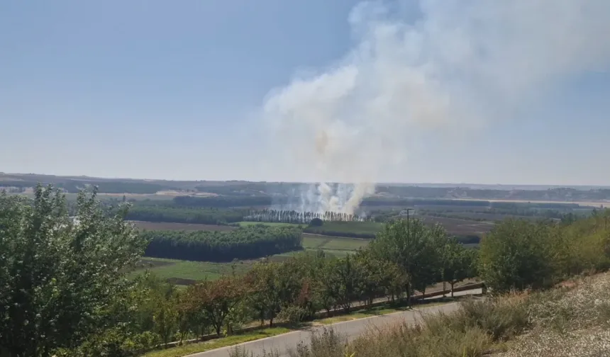 Hevsel Bahçeleri'nde anız yangını korkuttu