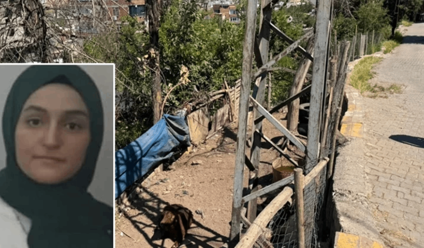 Diyarbakır’da elektrik akımı can aldı: Keçisine dokunan genç kadın yaşamını yitirdi