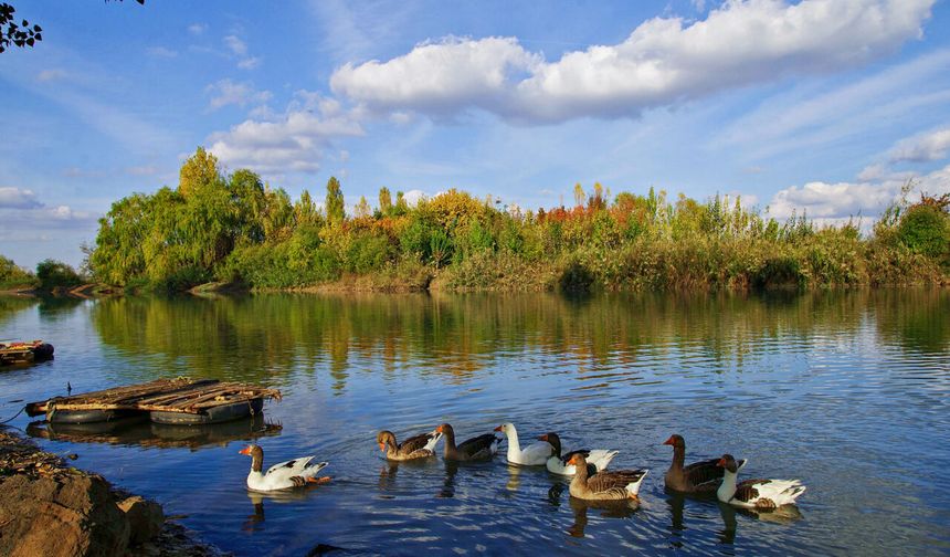 Nehir kabul edilmeyen Dicle’nin hikayesi