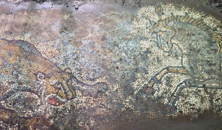 Mardin’de 1500 yıllık Roma dönemi mozaiği ele geçirildi