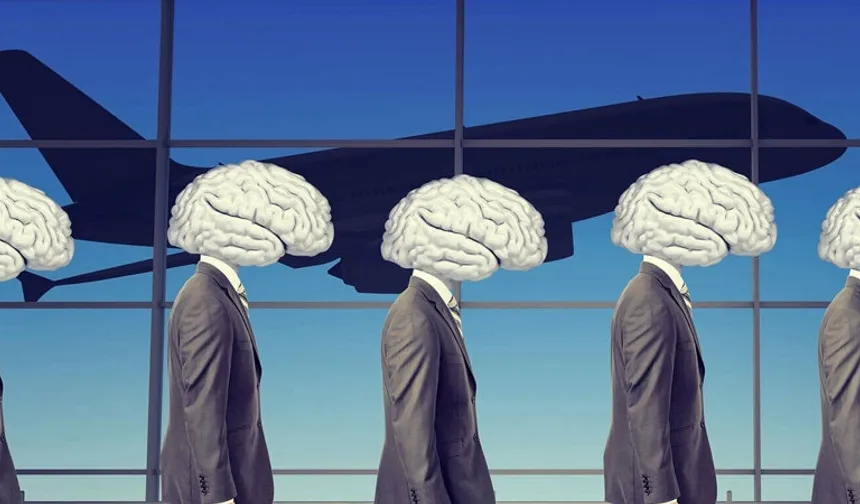 Her 50 üniversite mezunundan biri ülke dışında