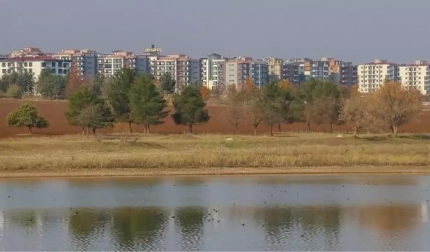Kuş Cenneti Betonla Kuşatılıyor: Kabaklı Göleti Tehlikede