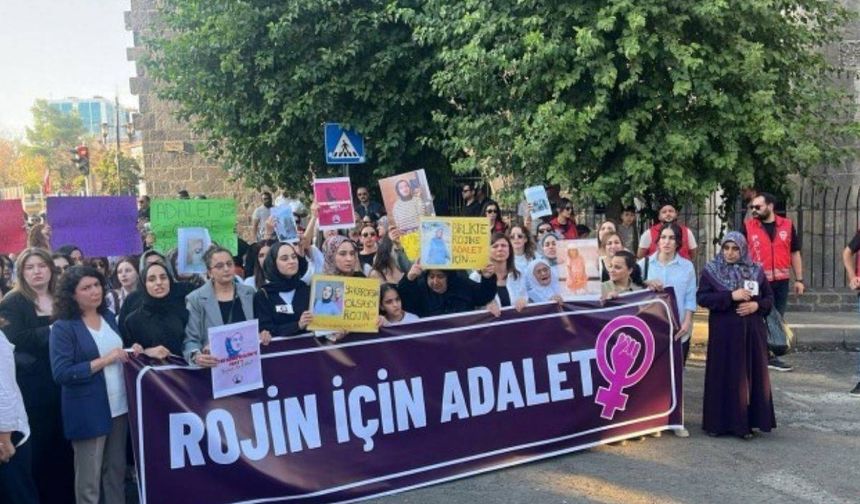 Rojin Kabaiş’e Hakaret Eden Erkek Tutuklandı