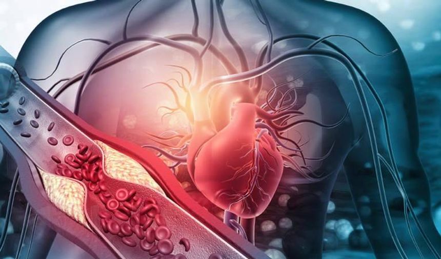 Dr. Gürkarhan: Sertleşme sorunu kalp hastalığı belirtisi olabilir