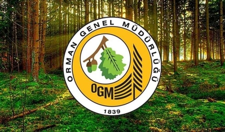 Orman Genel Müdürlüğü'ne 496 sözleşmeli personel alınacak