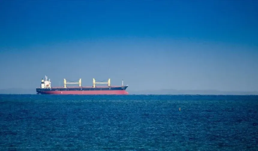 İstanbul açıklarında gemide zehirlenme: gözaltına alındı