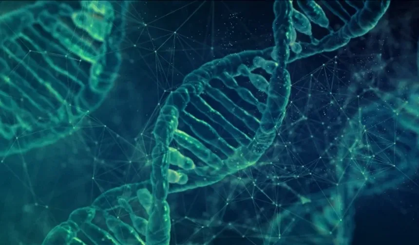 Araştırma: Erkek cinsiyetini belirleyen Y kromozomu yok oluyor