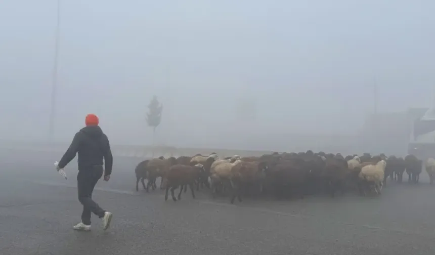 Türkiye'de hava kirliliği raporu: Diyarbakır en temiz ikinci il