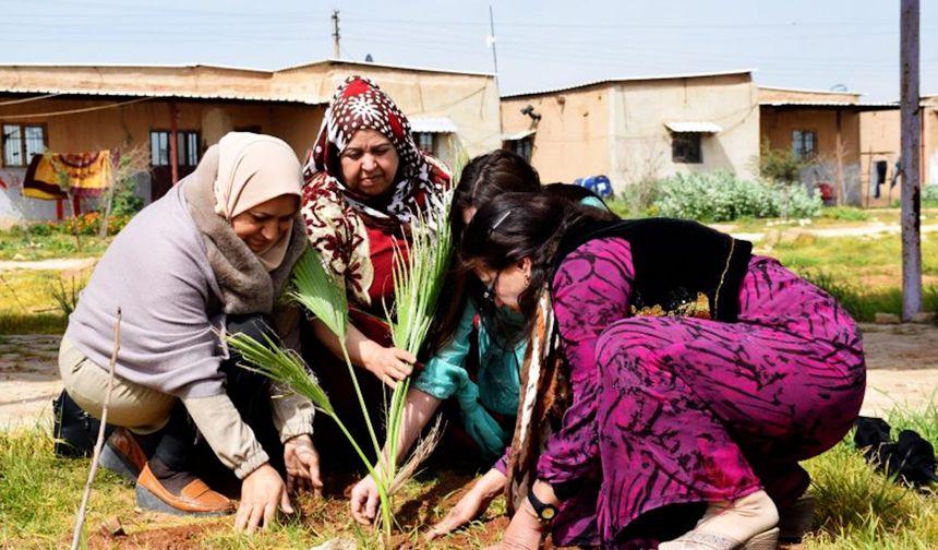 Jinwar: Savaşın Ortasında Kurulan Kadın Köyü