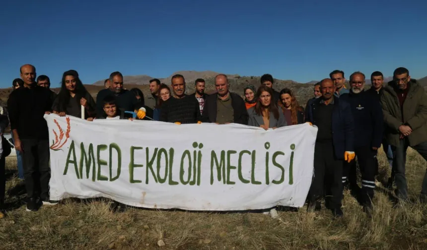 Kürt kentlerinde ekoloji direnişi: 10 bin palamut ekildi