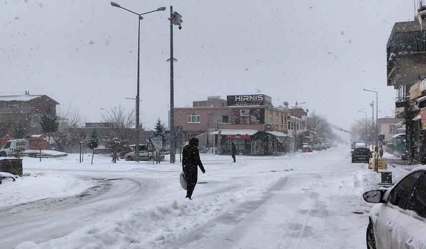 Dicle’de yoğun kar hayatı durdurdu