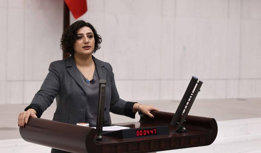 DEM Partili Sarıtaş’tan "istismar" açıklaması