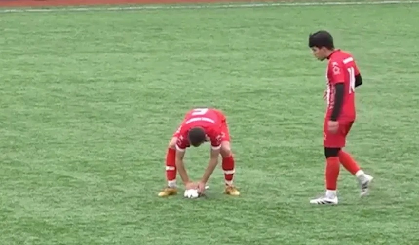 Maçta şutla vurulan martı, kalp masajıyla hayata döndürüldü