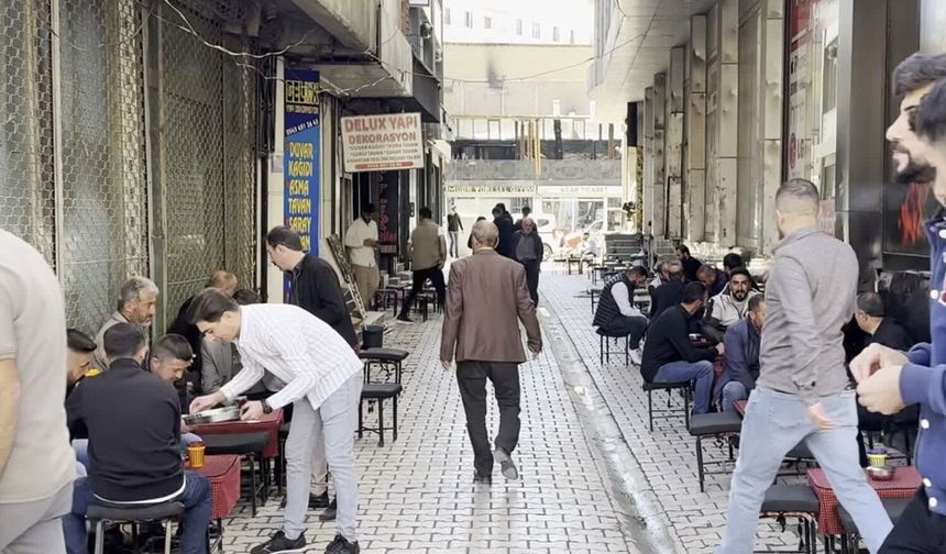 İstihdam sıralamasının  sonundaki şehir: Hakkari