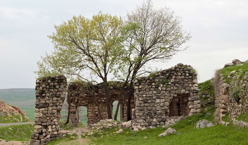 Feqiyê Teyran mirası yok mu ediliypr?