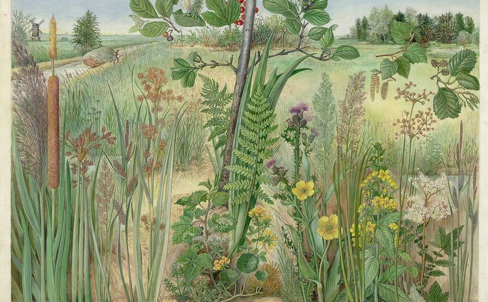 Ekolojik Kazananlar: Hangi Türler Dünyayı Ele Geçiriyor?