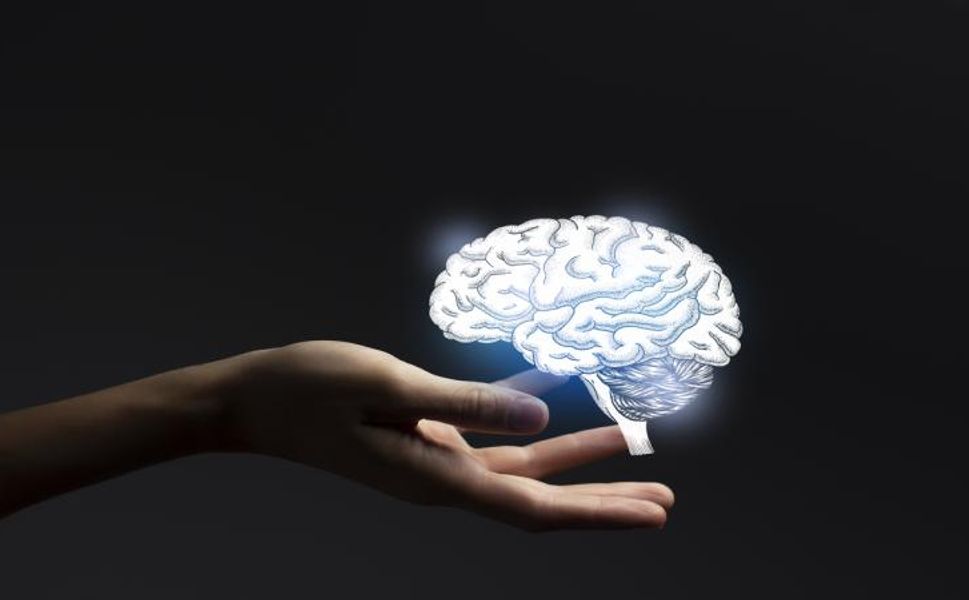 9, 32, 66 ve 83: Beynimiz ne zaman "yetişkin moduna" geçiyor?