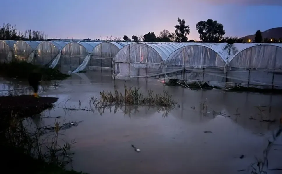 Antalya’da sağanak ve hortum seralara zarar verdi