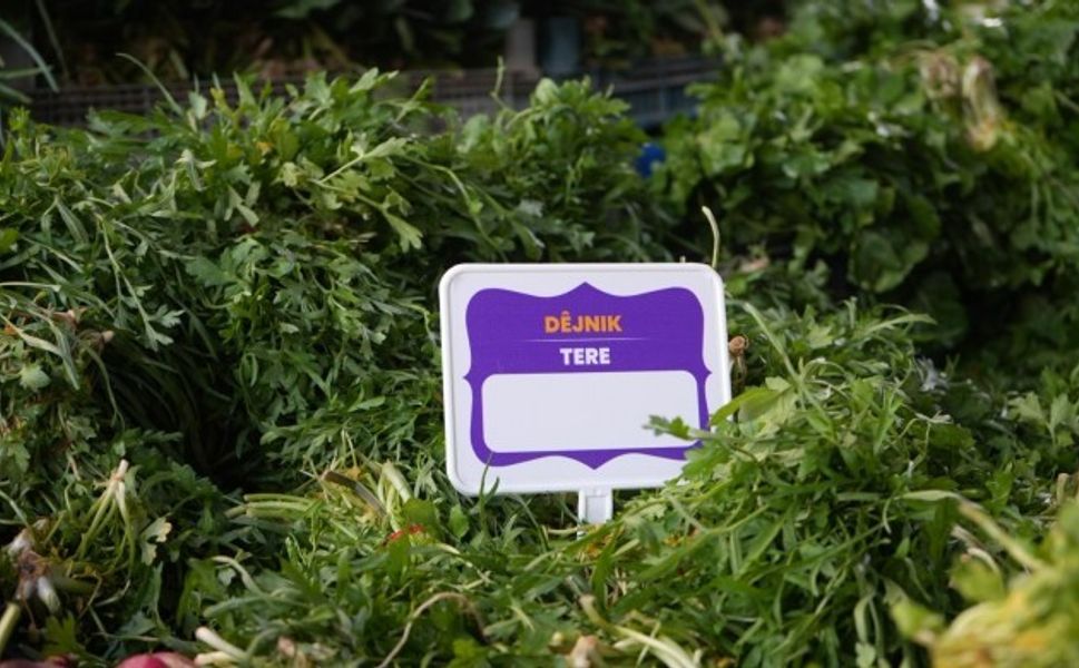 Diyarbakır'da Anadil Günü'nde anlamlı hareket