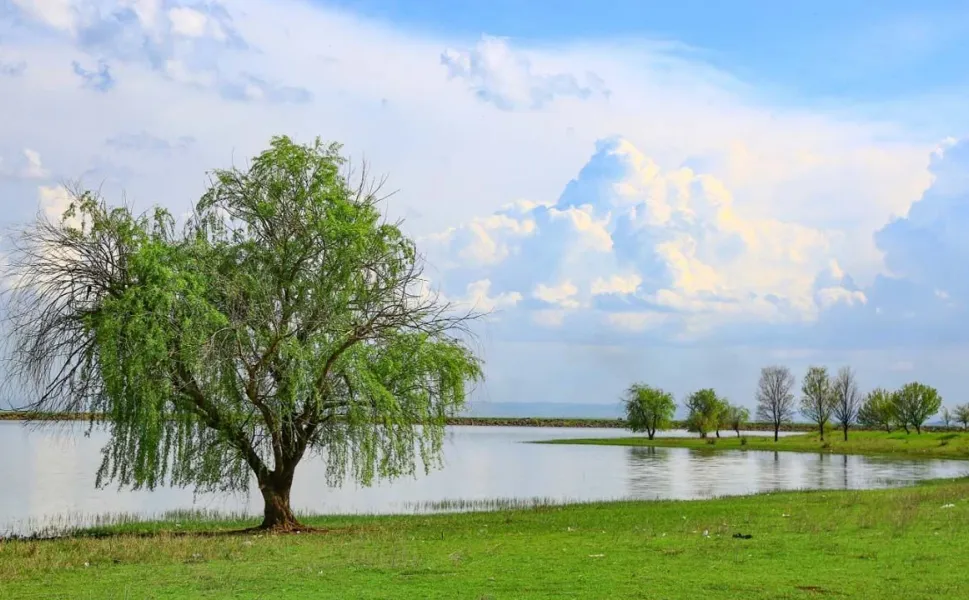 Diyarbakır Kabaklı Göleti'ndeki manzara herkesi şoke etti