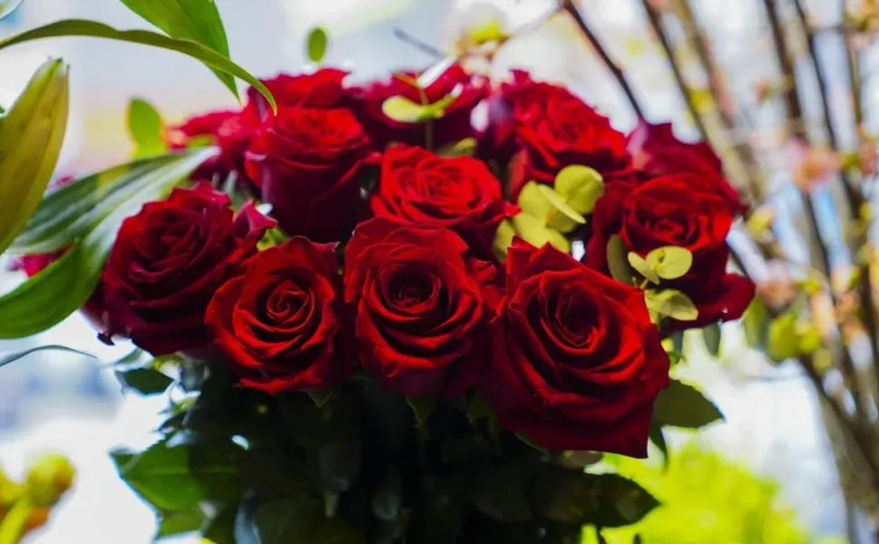 Sevgililer Günü yaklaşıyor: Gülün tanesi ne kadar?