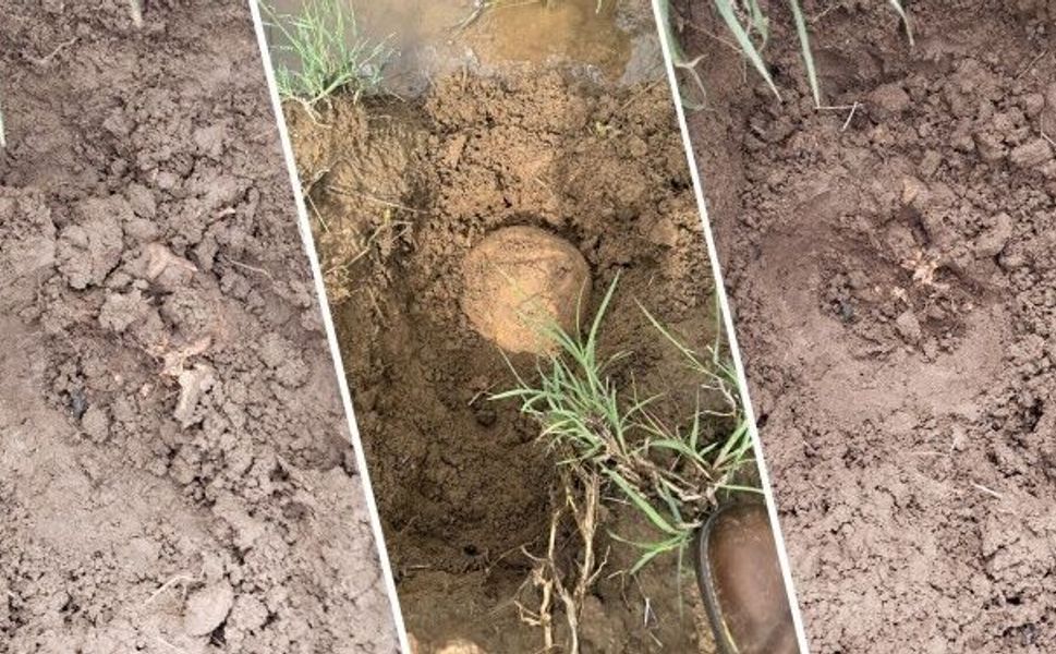 Licê’de bulunan kemikler: Biri çocuk iki kişiye ait