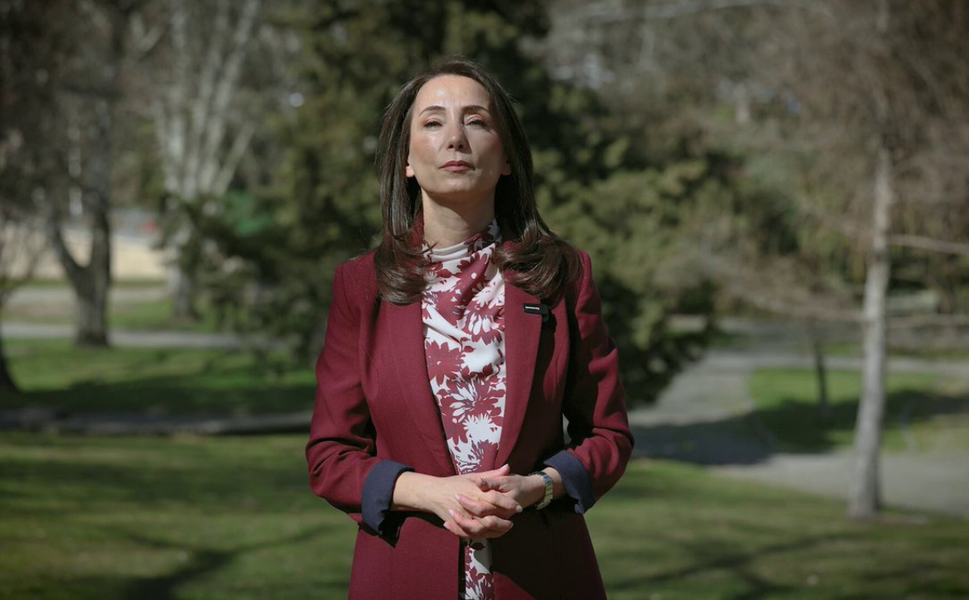 DEM Parti’den Newroz çağrısı: “Barış için alanlarda buluşalım”