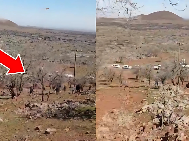 Jandarma Müdahalesi Ve Anayasal Hakların İhlali