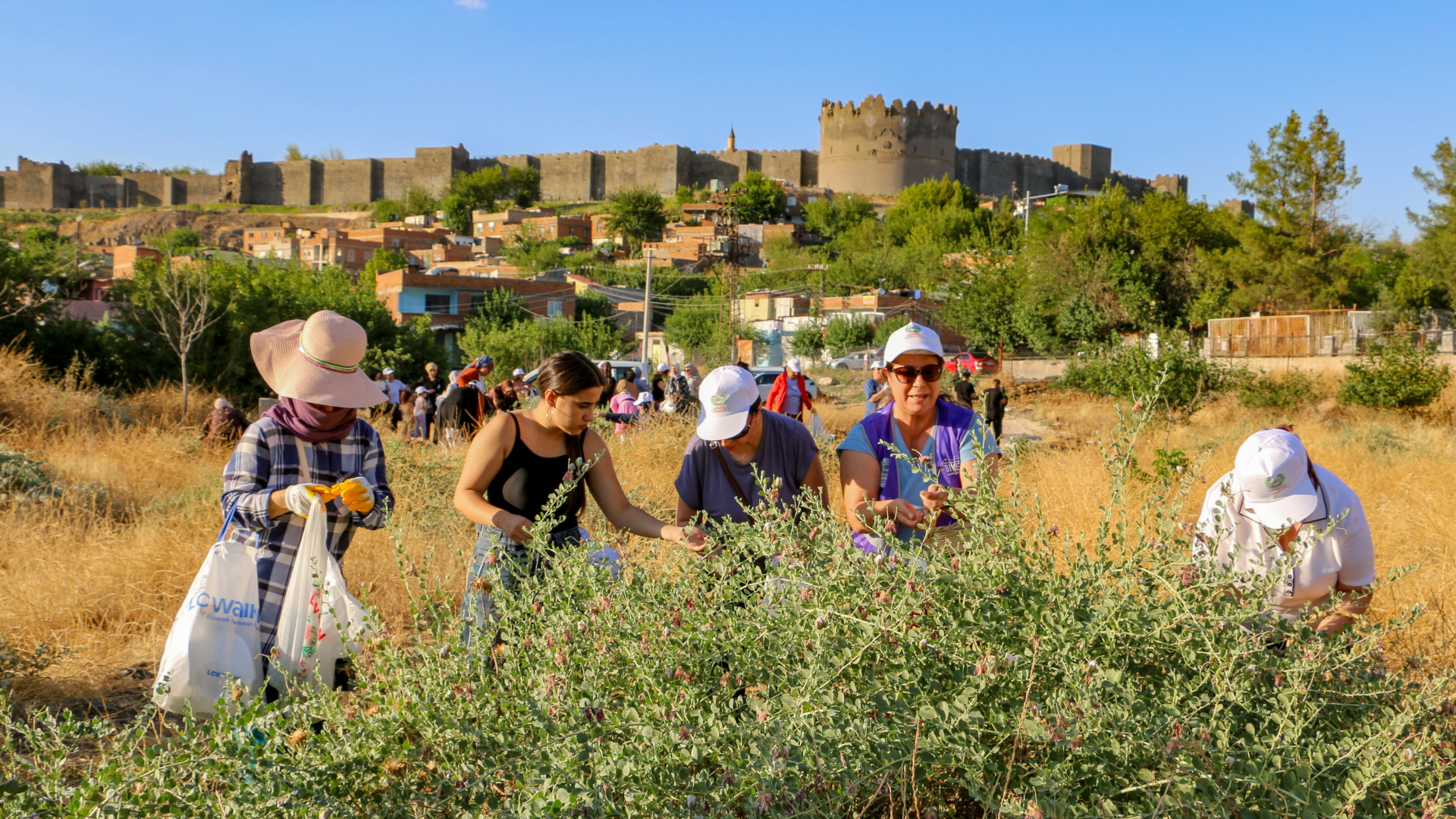 Diyarbakir Sur Kadinlar Kapari