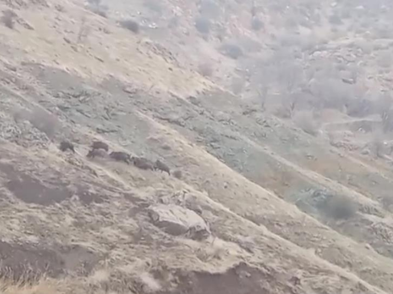 Adsız Tasarım 2026 01 28T100022.633