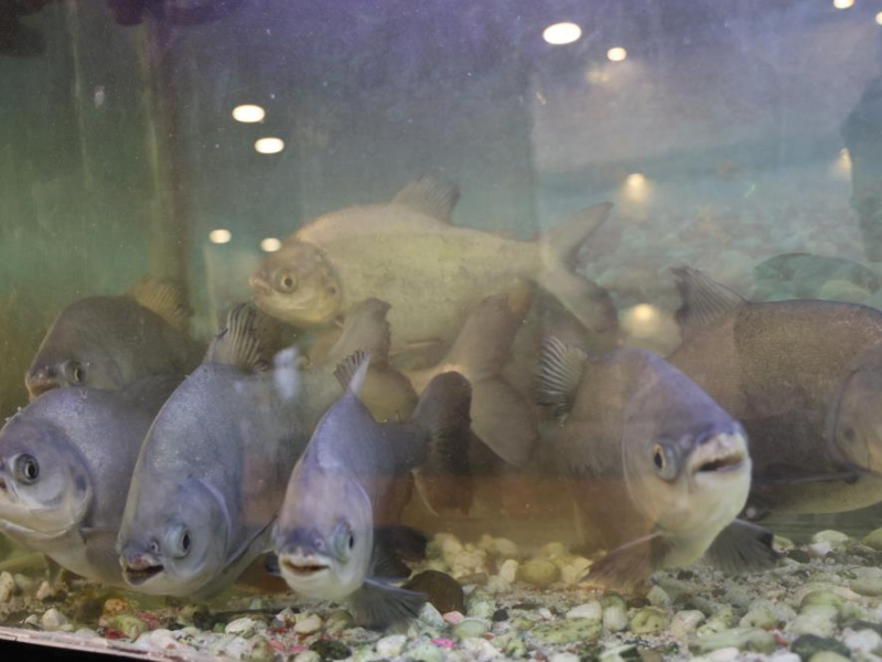 Çocukların İlgi Odağı Oldu