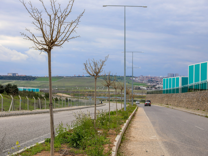 Kuraklığa Dayanıklı Türler Tercih Edildi